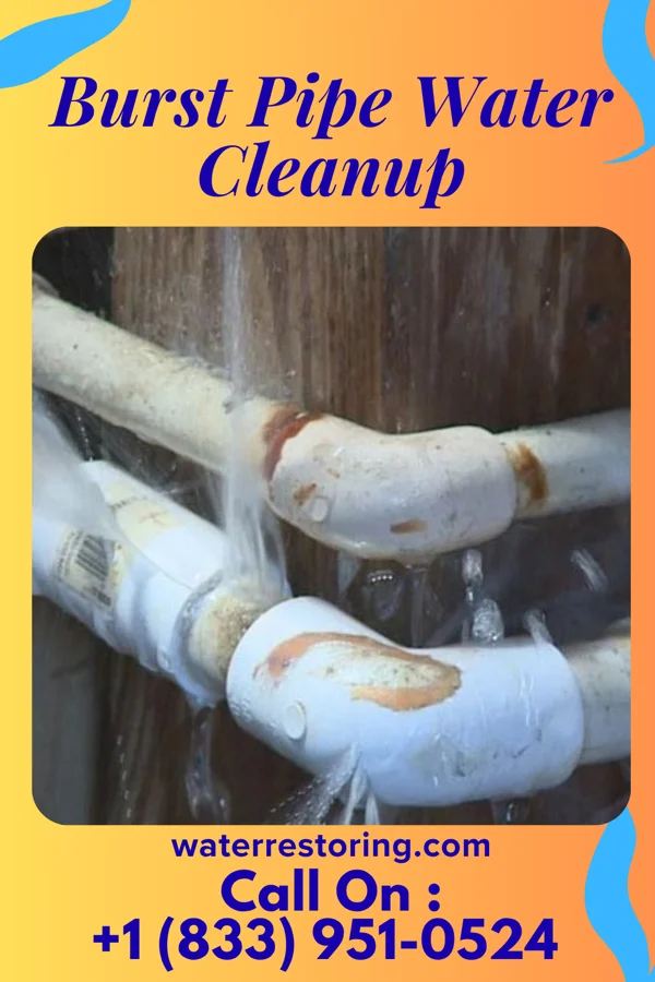 Burst Pipe Water Cleanup in Radford, VA