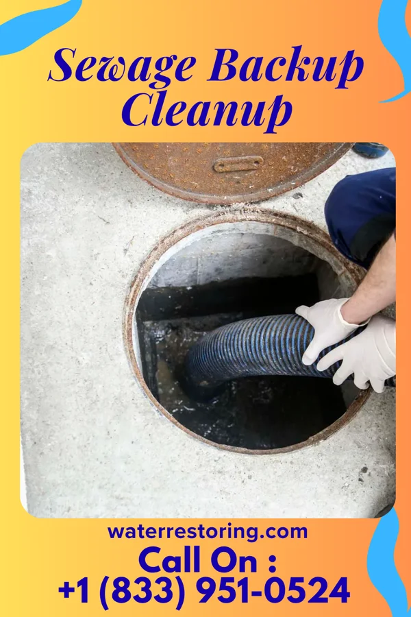 Sewage Backup Cleanup in Radford, VA